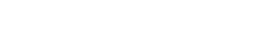 SVS Digital