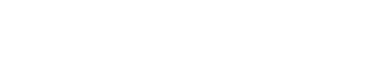 SVS Digital